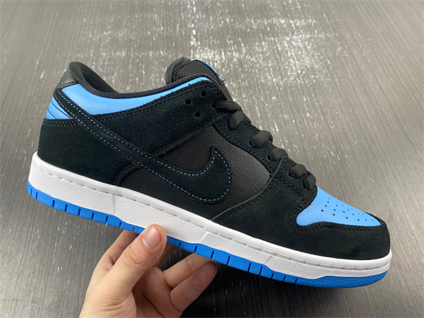 Nike SB Skateboard Dunk Low Pro Black 304292-048